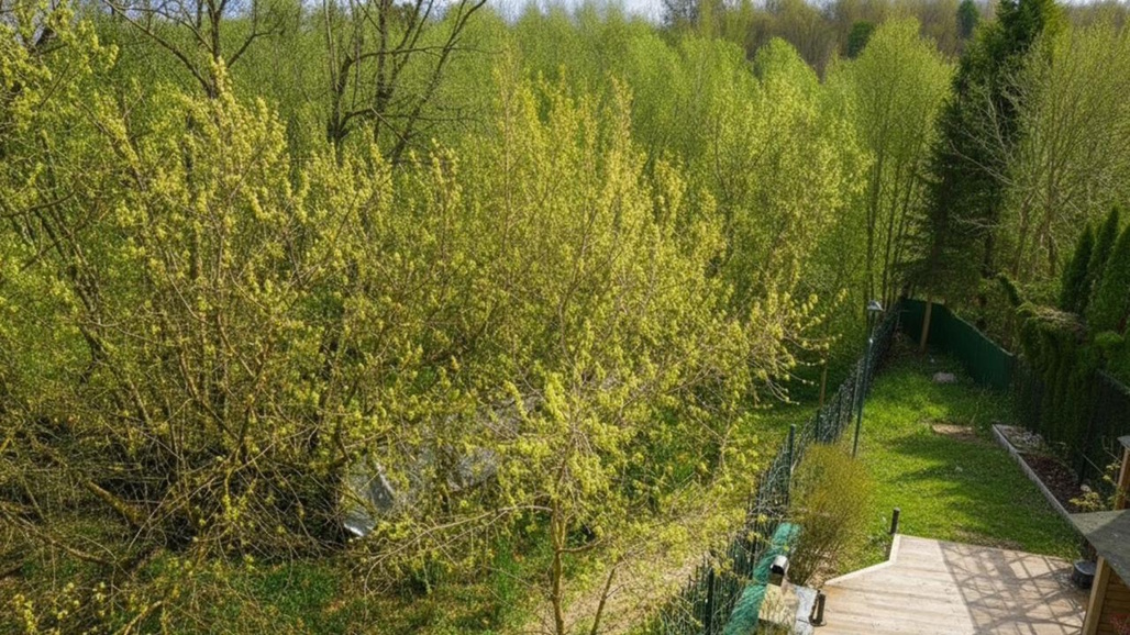 Таунхаус с выходом в парк в сердце Москвы