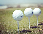 Новая коллекция GOLFINO весна/лето 2018 в магазинах Гольф-Профи