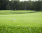 Осенний режим работы поля на гольф-курорте Pine Creek Golf Resort