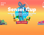 12 августа в Целеево состоится турнир для новичков Sensei Cup