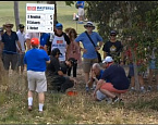 Этот опасный гольф: зритель покинул турнир Australian Masters со сломанным носом