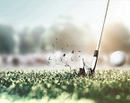 Открыта регистрация на отборочные этапы BMW Golf Cup 2021