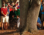 PGA Tour: Valspar Championship, день первый. Никто не обещал, что будет легко