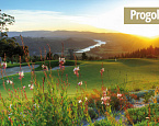 Progolftour предлагает гольф-путешествия в Южную Африку, с игрой на лучших гольф-полях, сафари и посещением винных хозяйств 