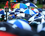 PGA Championship,  во второй день лидерство захватил Рори Макилрой (-9)