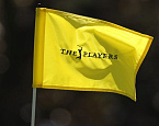 Турнир Players Championship официально станет мейджором?