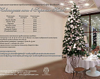Предложение от Superior Golf & Spa Resort: Новогодняя ночь в Superior Hotel