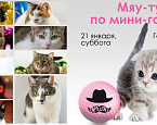 Благотворительный "кошачий" турнир по мини-гольфу пройдет в Тайгере 21 января