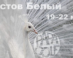 С 19 по 22 мая в гольф и кантри клубе «Дон» пройдет I этап турнира «Папагольф-2022»