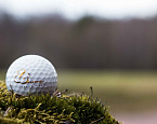 Кубок открытия сезона 2017 в Дюнах