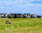 Юрий Кадощук: Гольф-путешествие в ЮАР, часть I. George Golf Club