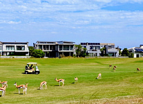 Юрий Кадощук: Гольф-путешествие в ЮАР, часть I. George Golf Club