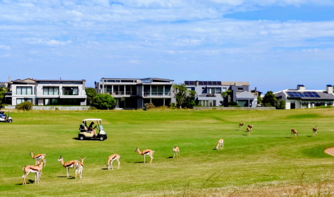 Юрий Кадощук: Гольф-путешествие в ЮАР, часть I. George Golf Club