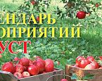 Август в МКК