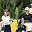 Отличный старт Наталии Гусевой на Maybank Championship 2026 в Малайзии