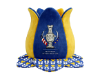 Solheim Cup 2026: названы составы сборных